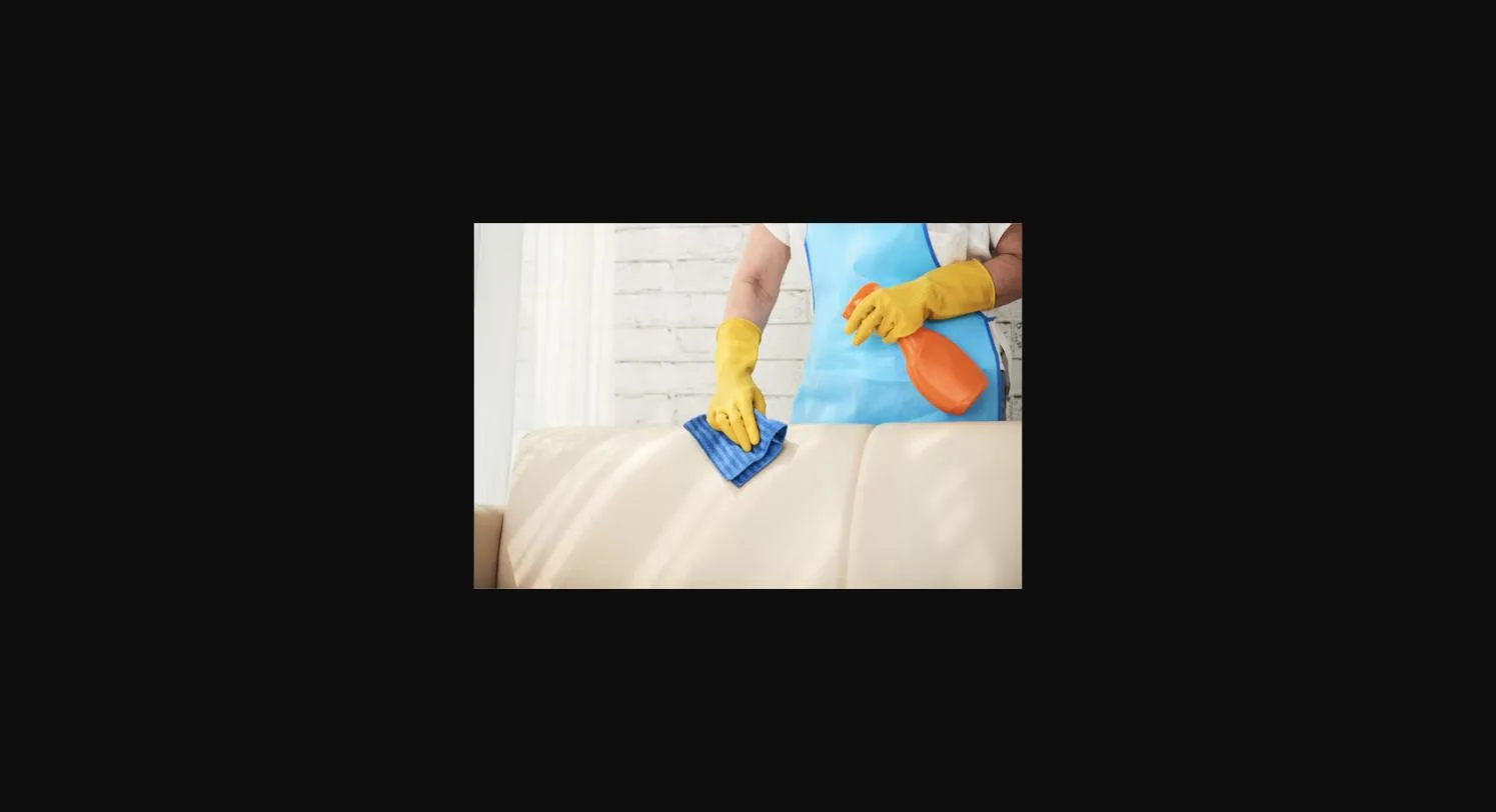 Meubels schoonmaken leren bank reinigen met spons en spray